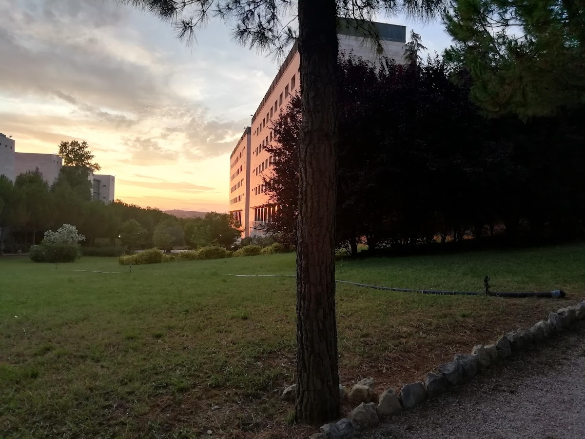 University of Chieti-Pescara photo 7