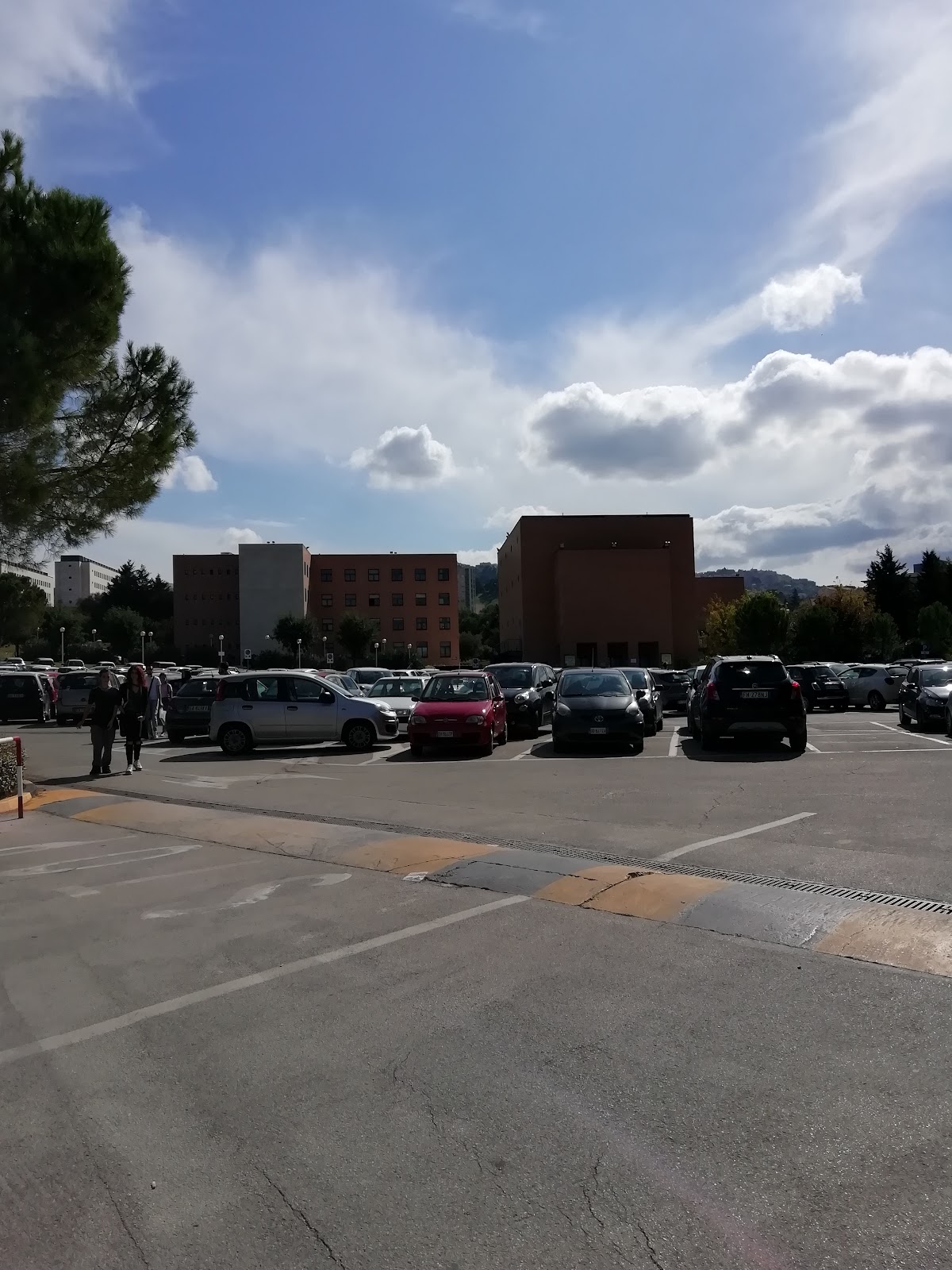 University of Chieti-Pescara photo 9