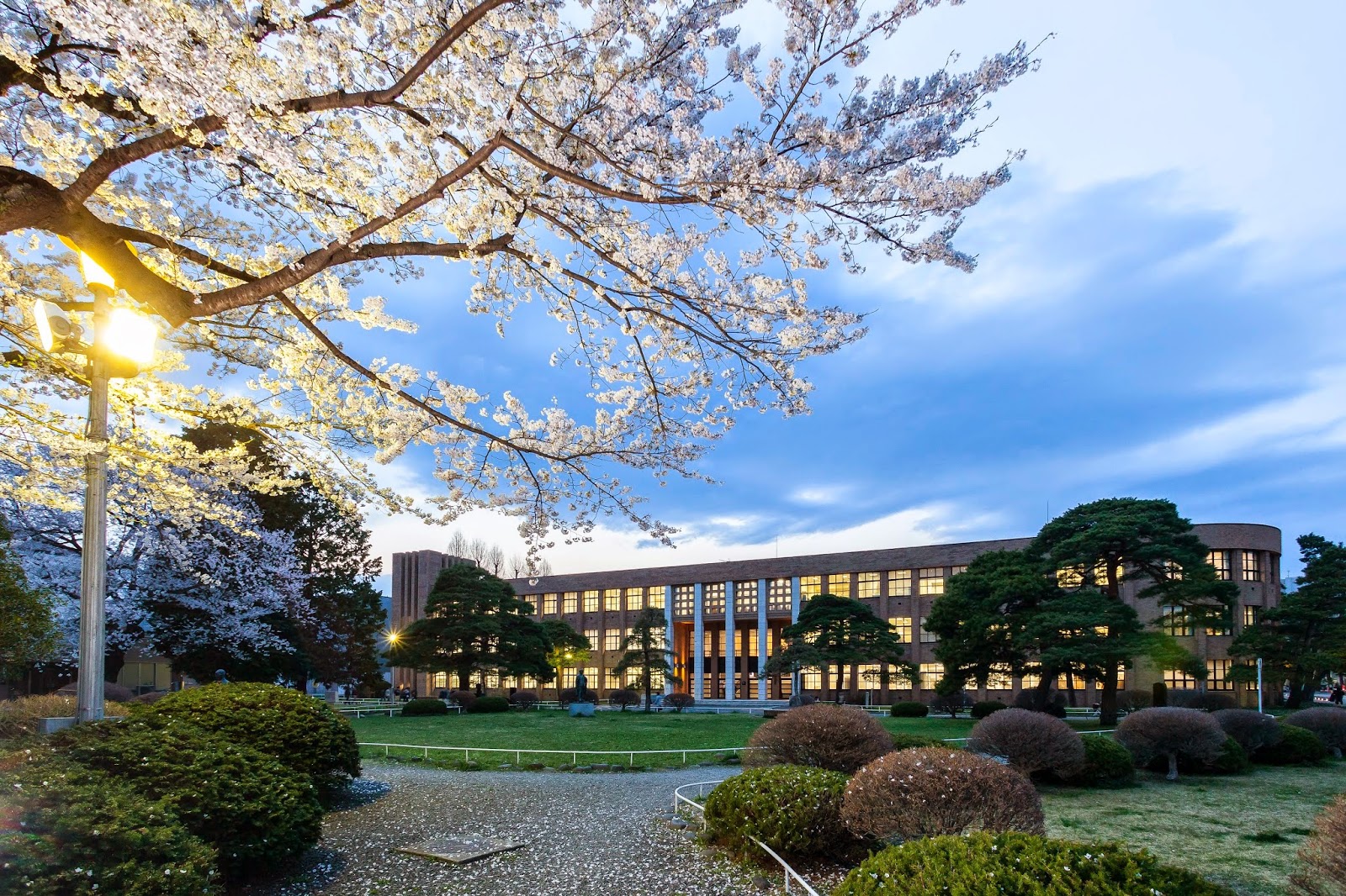 Study in Japan