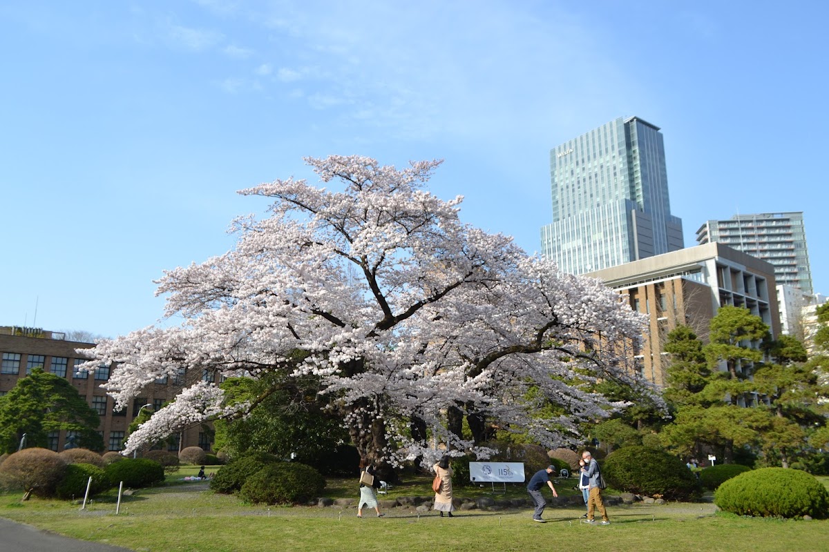 Tohoku University photo 1