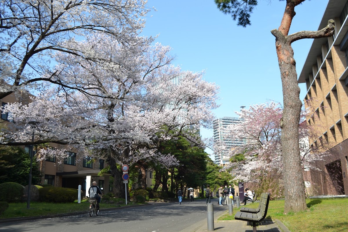 Tohoku University photo 2