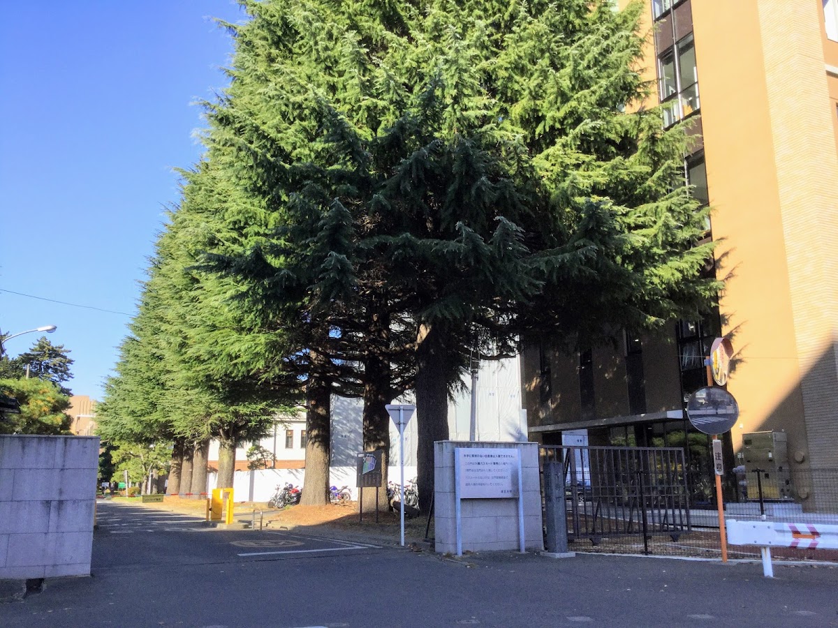 Tohoku University photo 4