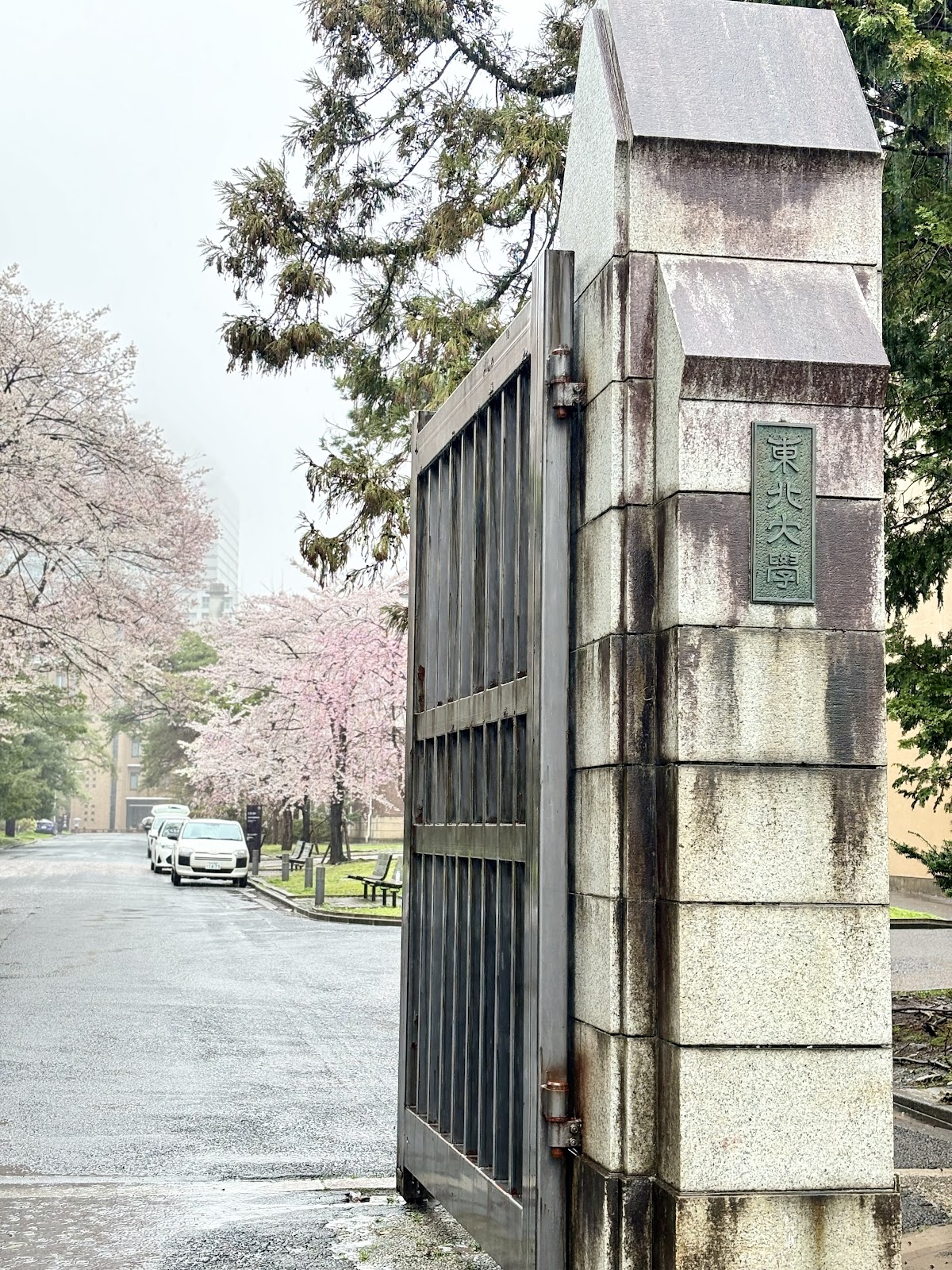 Tohoku University photo 7