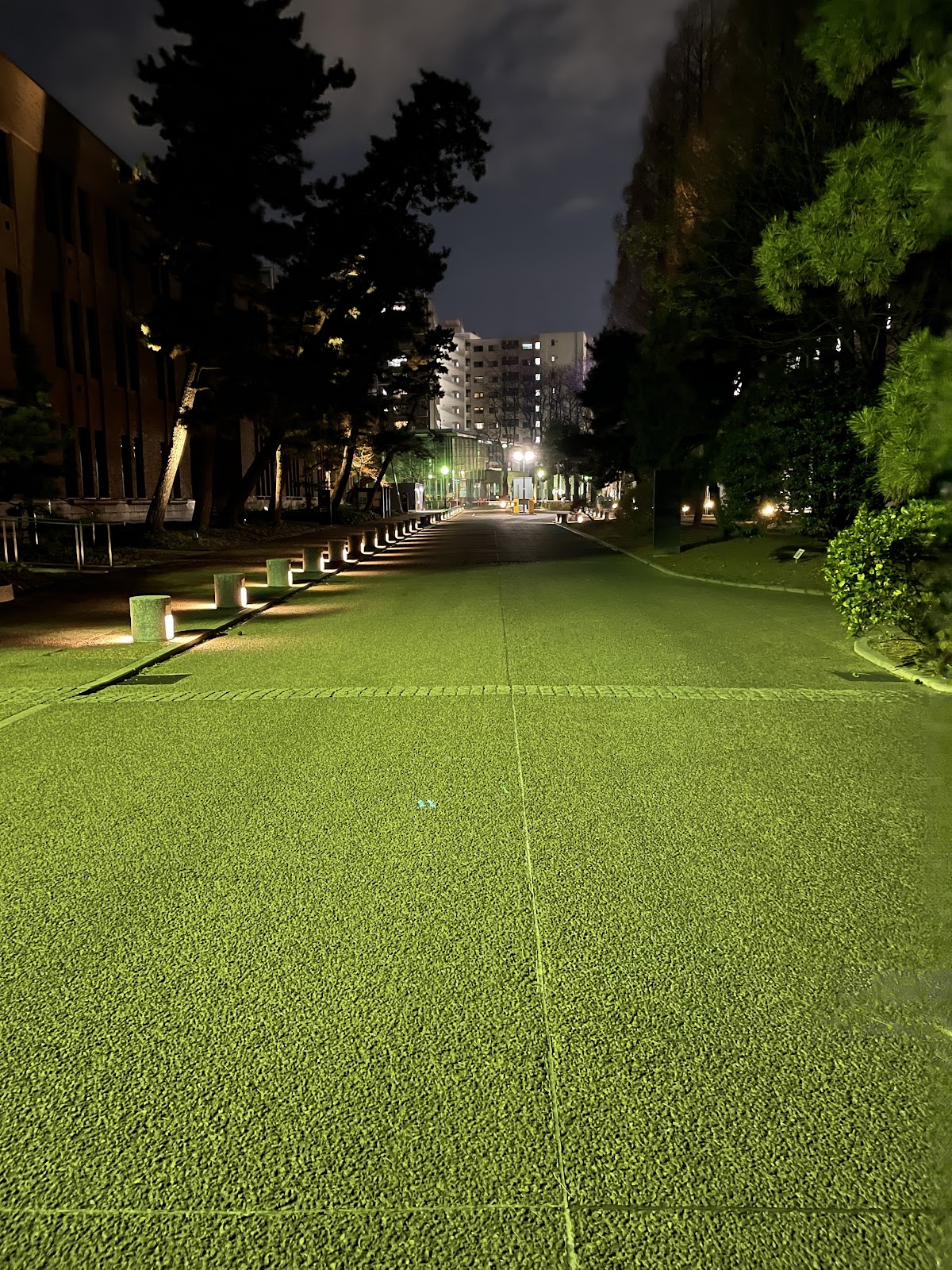 Tohoku University photo 9