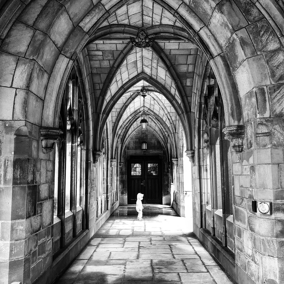 University of Chicago photo 9