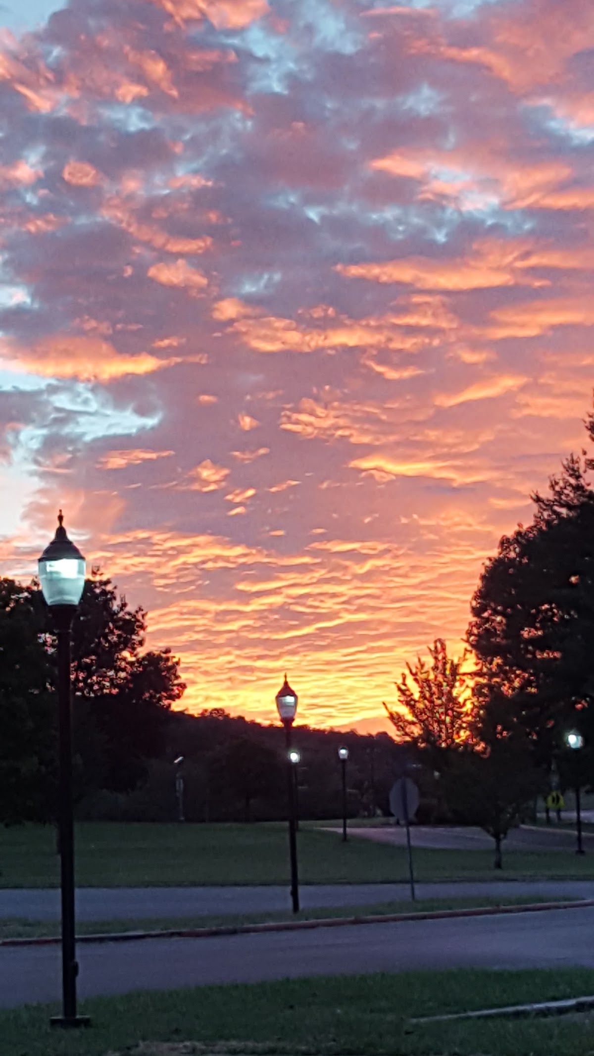 Allegany College of Maryland photo 9