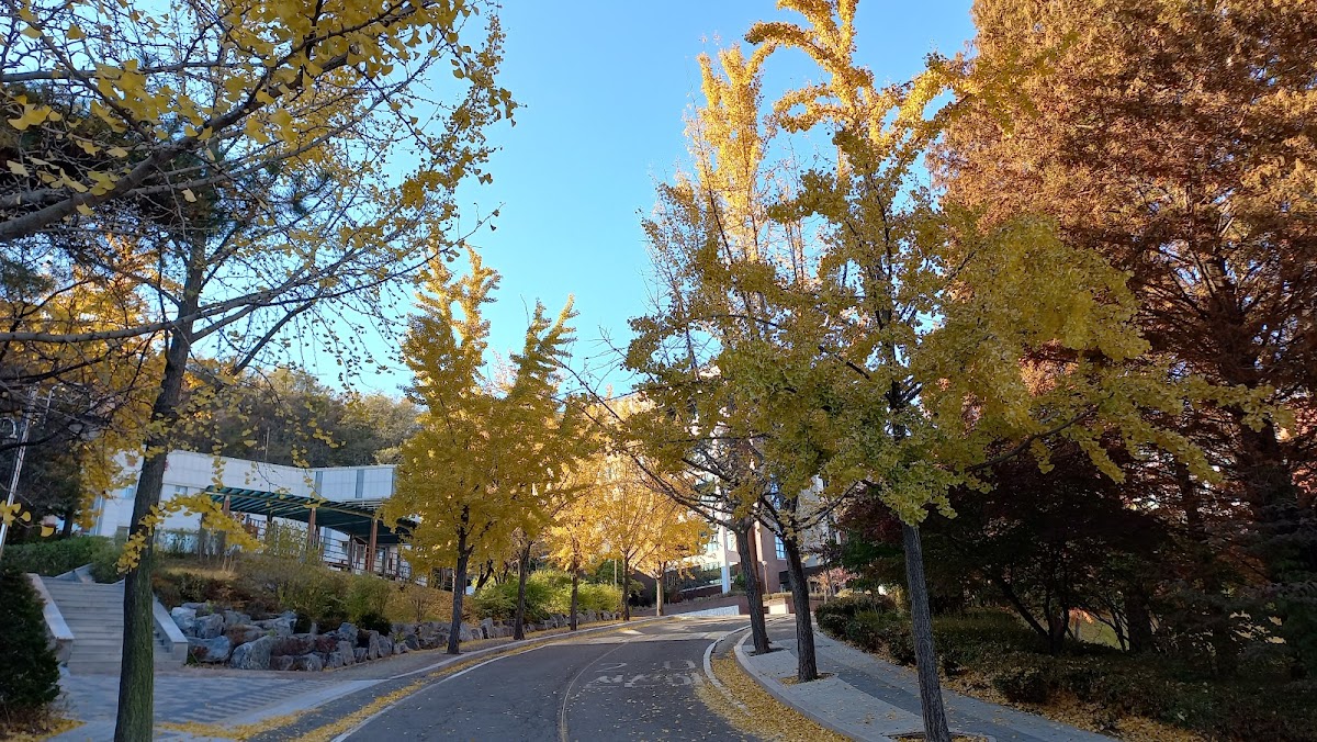 Gyeongin National University of Education photo 2