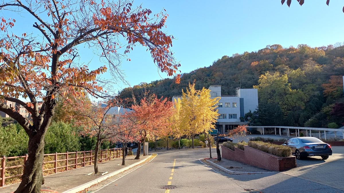 Gyeongin National University of Education photo 3