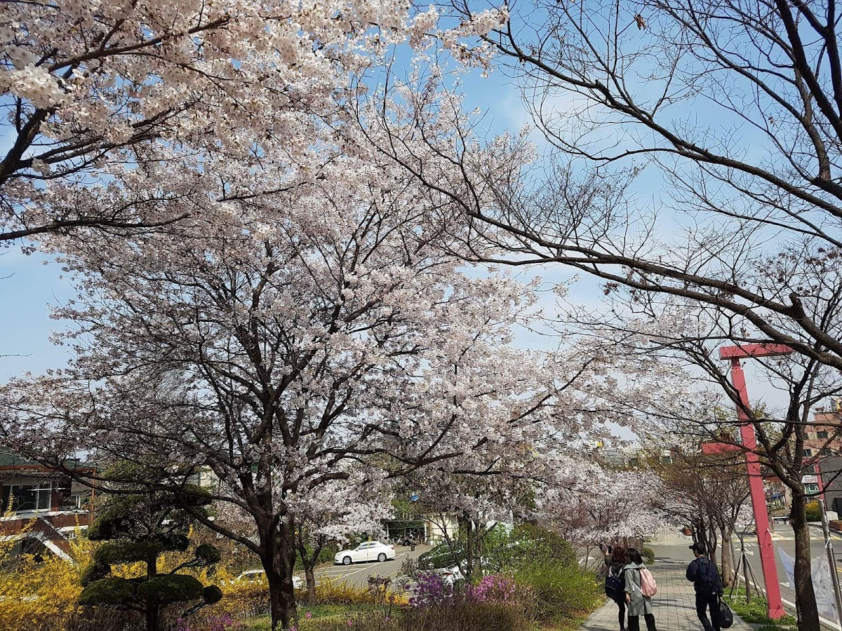 Gyeongin National University of Education photo 8