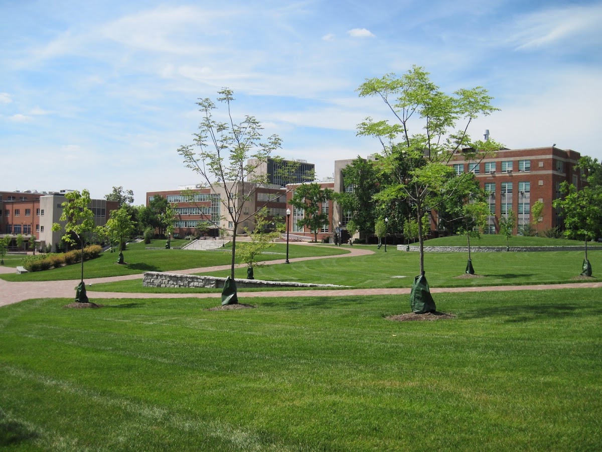 University of Dayton photo 5