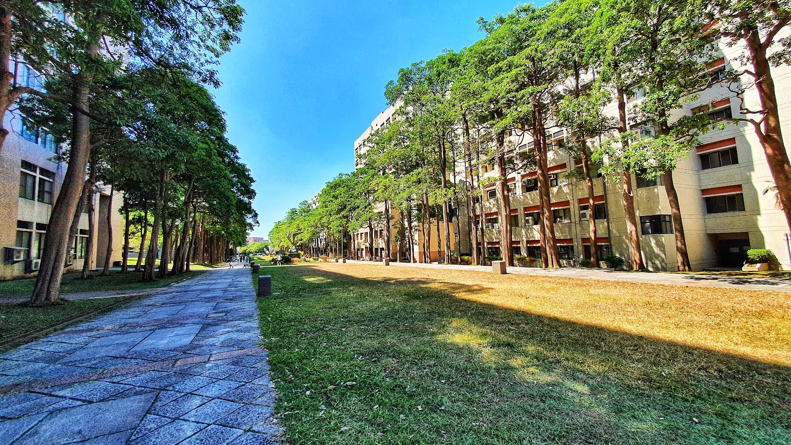 National Yang Ming Chiao Tung University