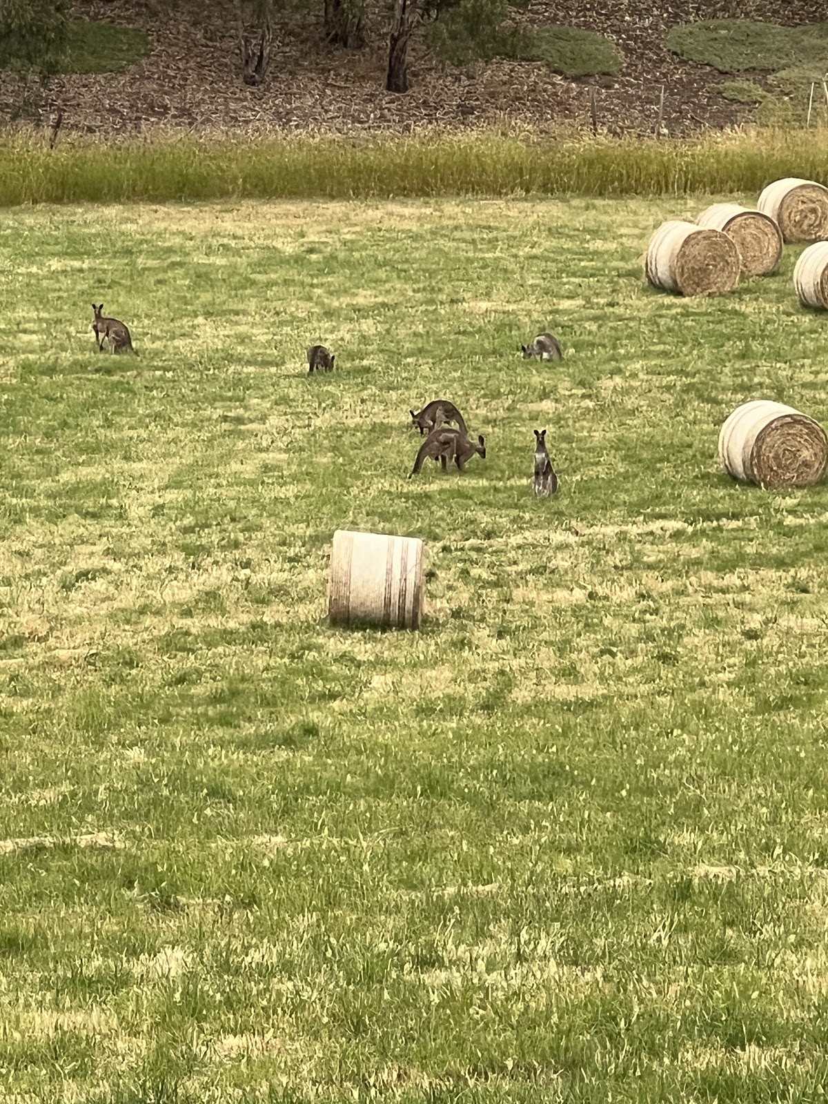 Marcus Oldham College photo 2