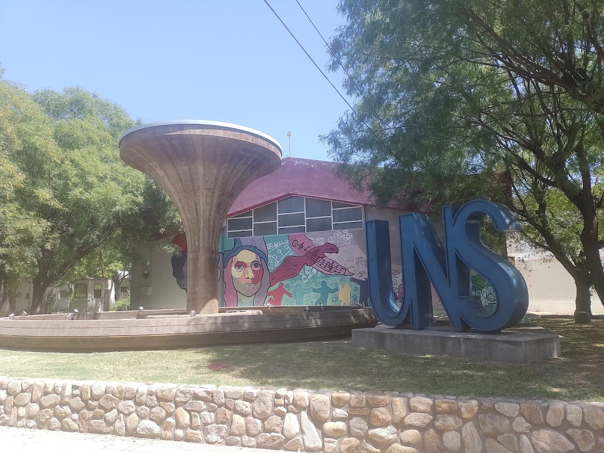 National University of the South photo 2