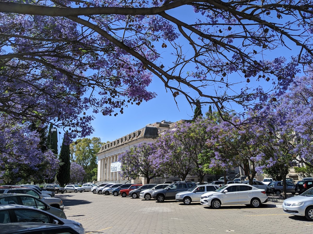 National University of the South photo 3