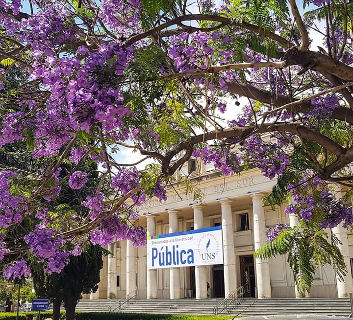 National University of the South photo 4