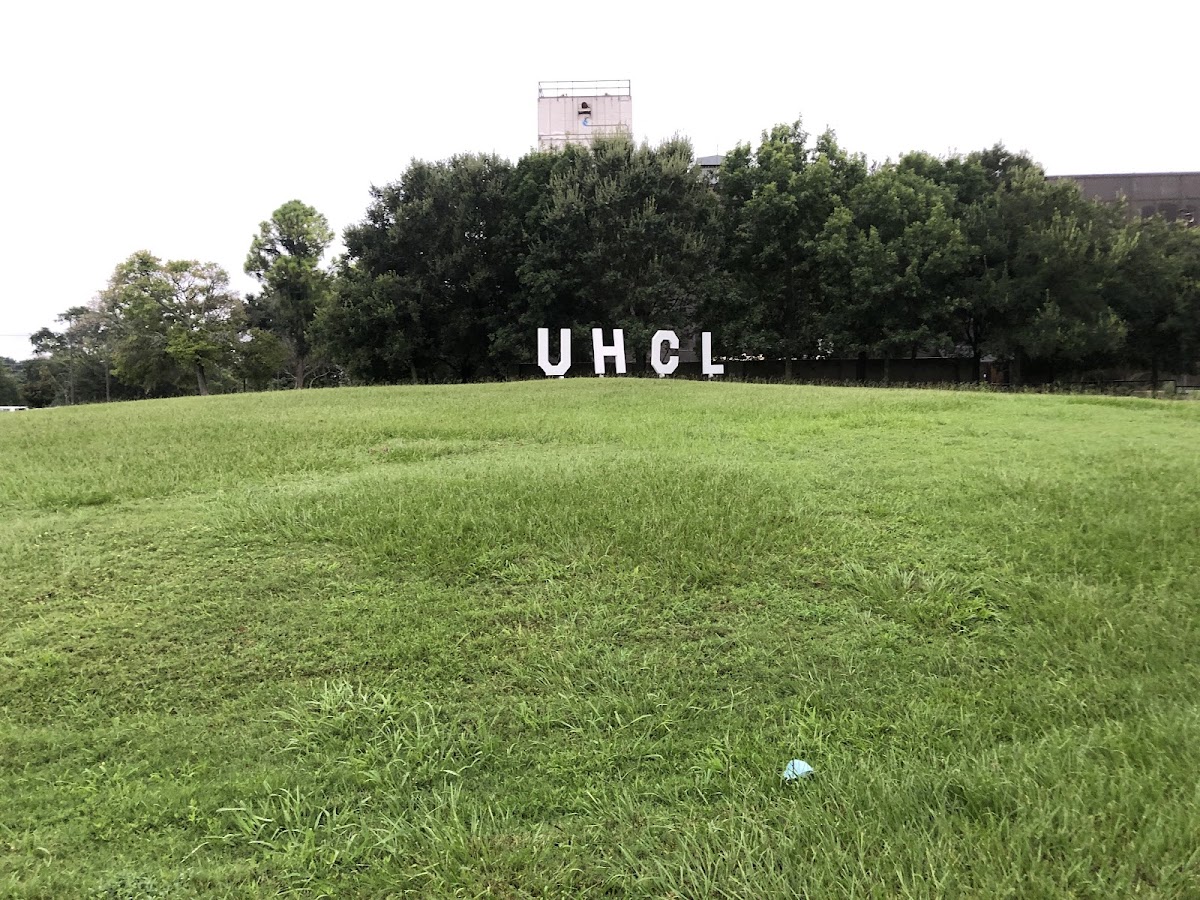 University of Houston-Clear Lake photo 2