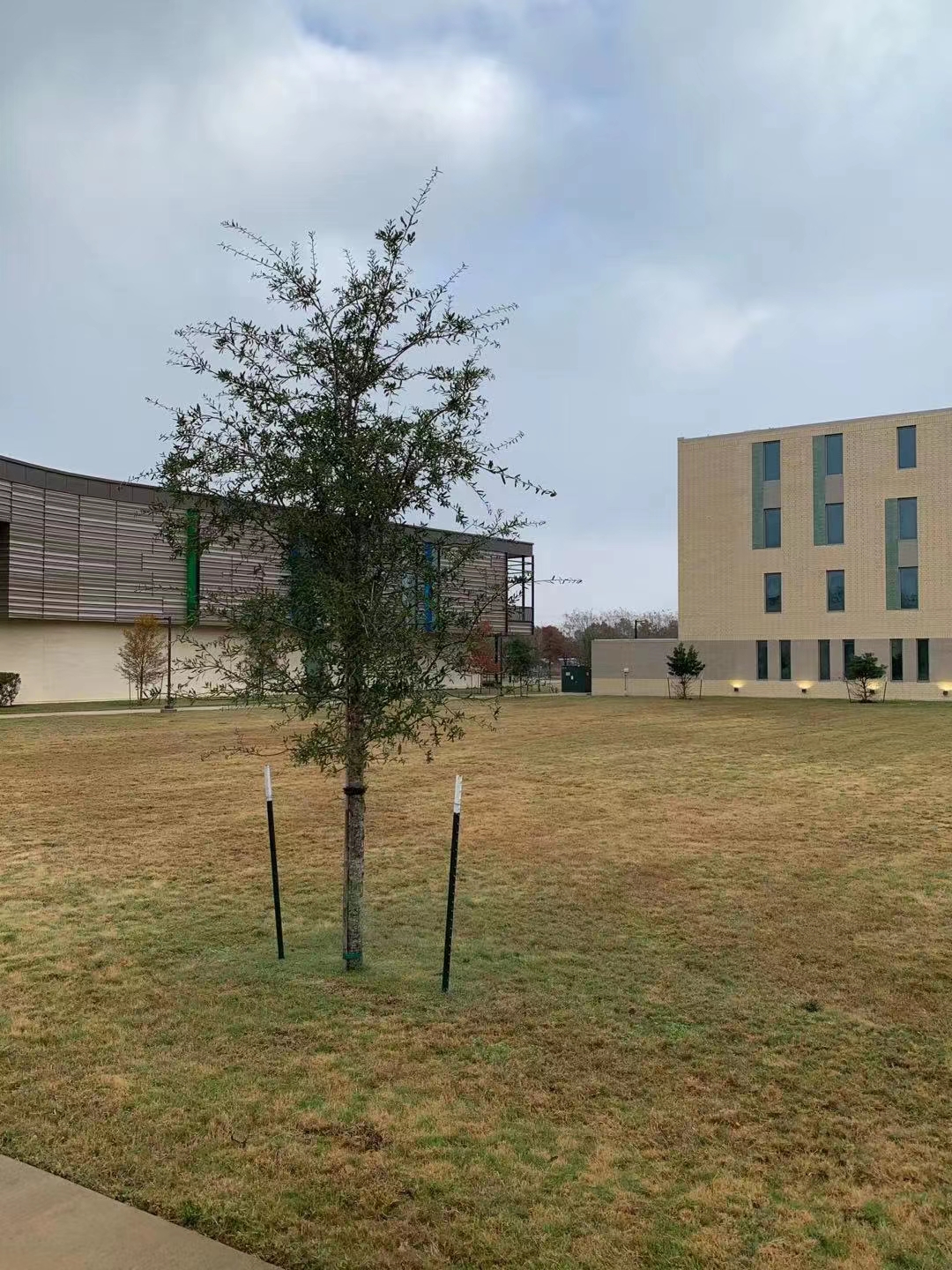 University of Houston-Clear Lake photo 9