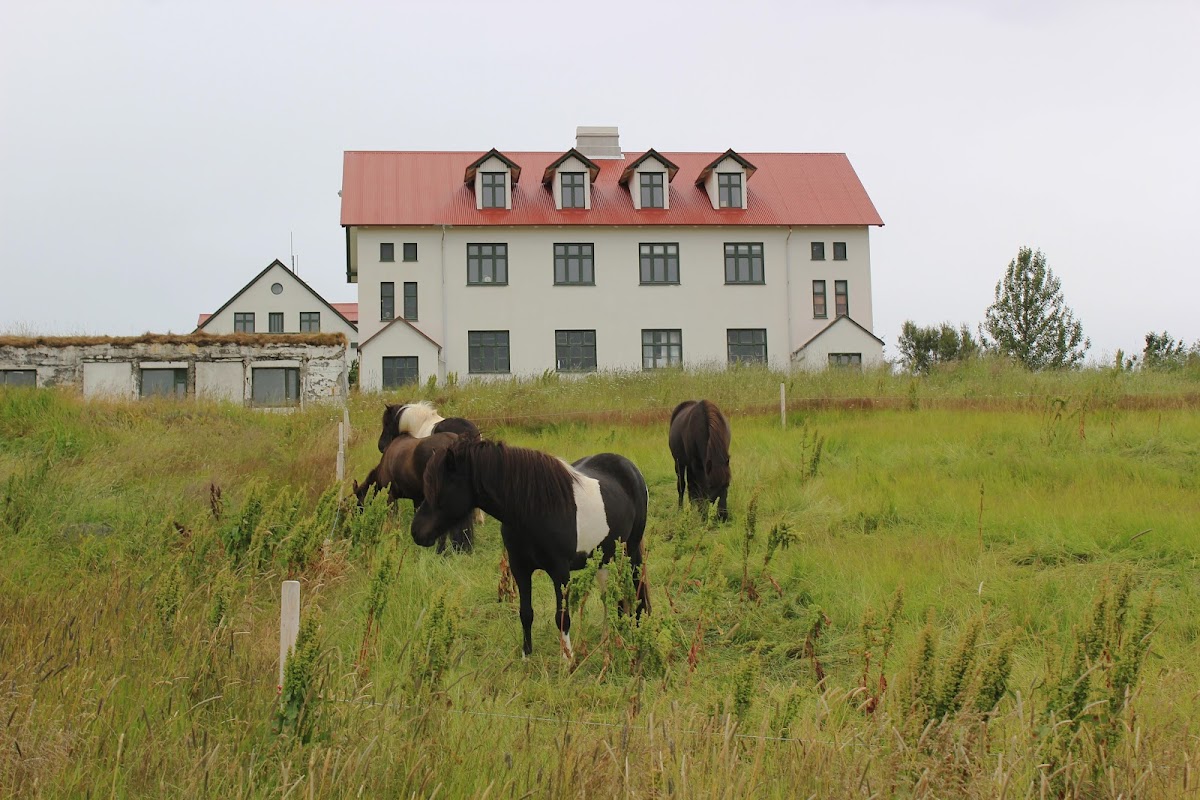 Agricultural University of Iceland photo 3