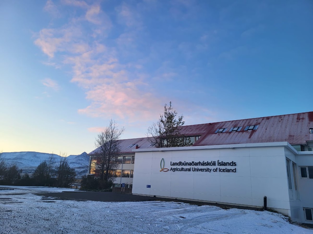 Agricultural University of Iceland photo 8