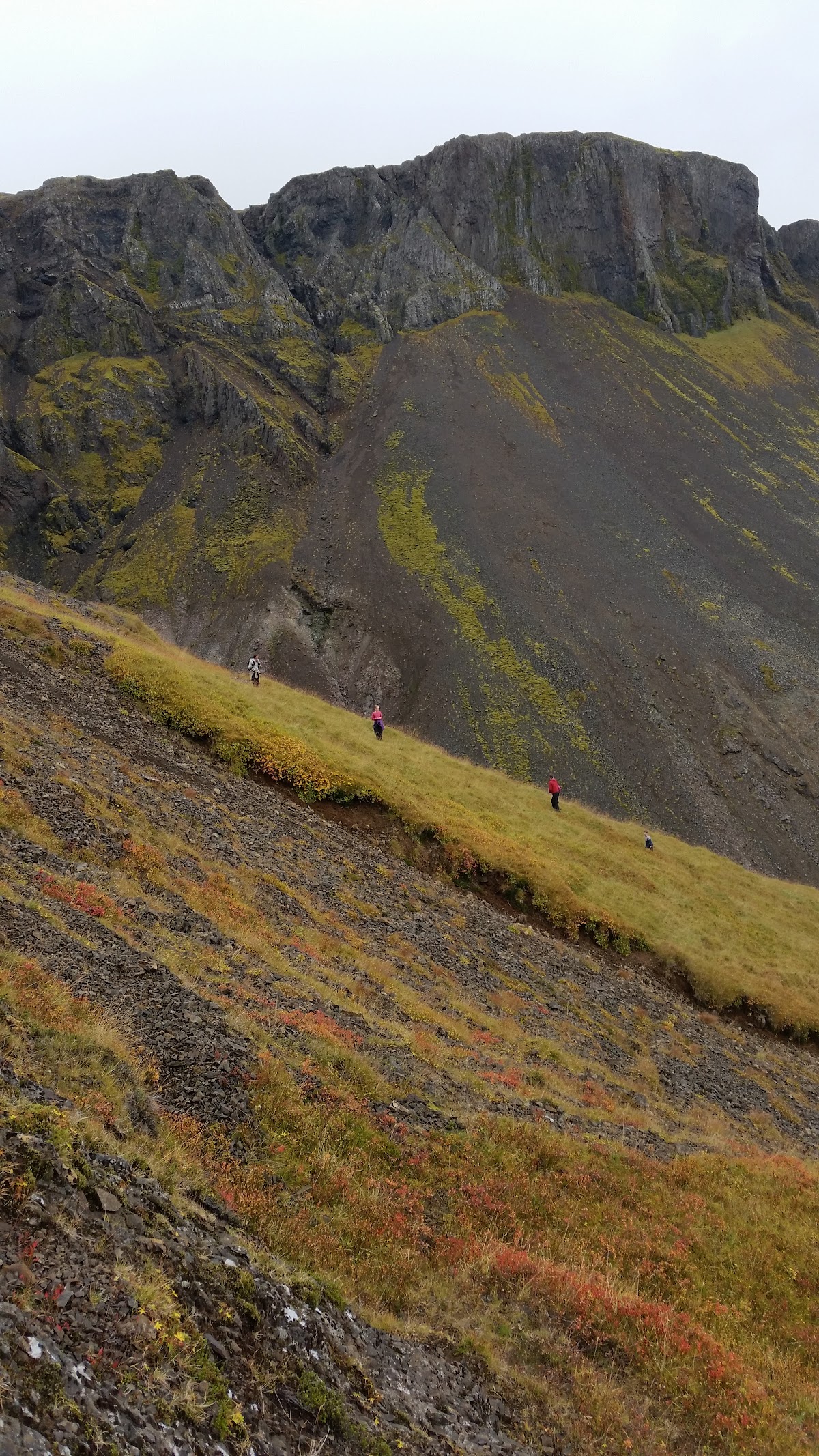 Agricultural University of Iceland photo 9