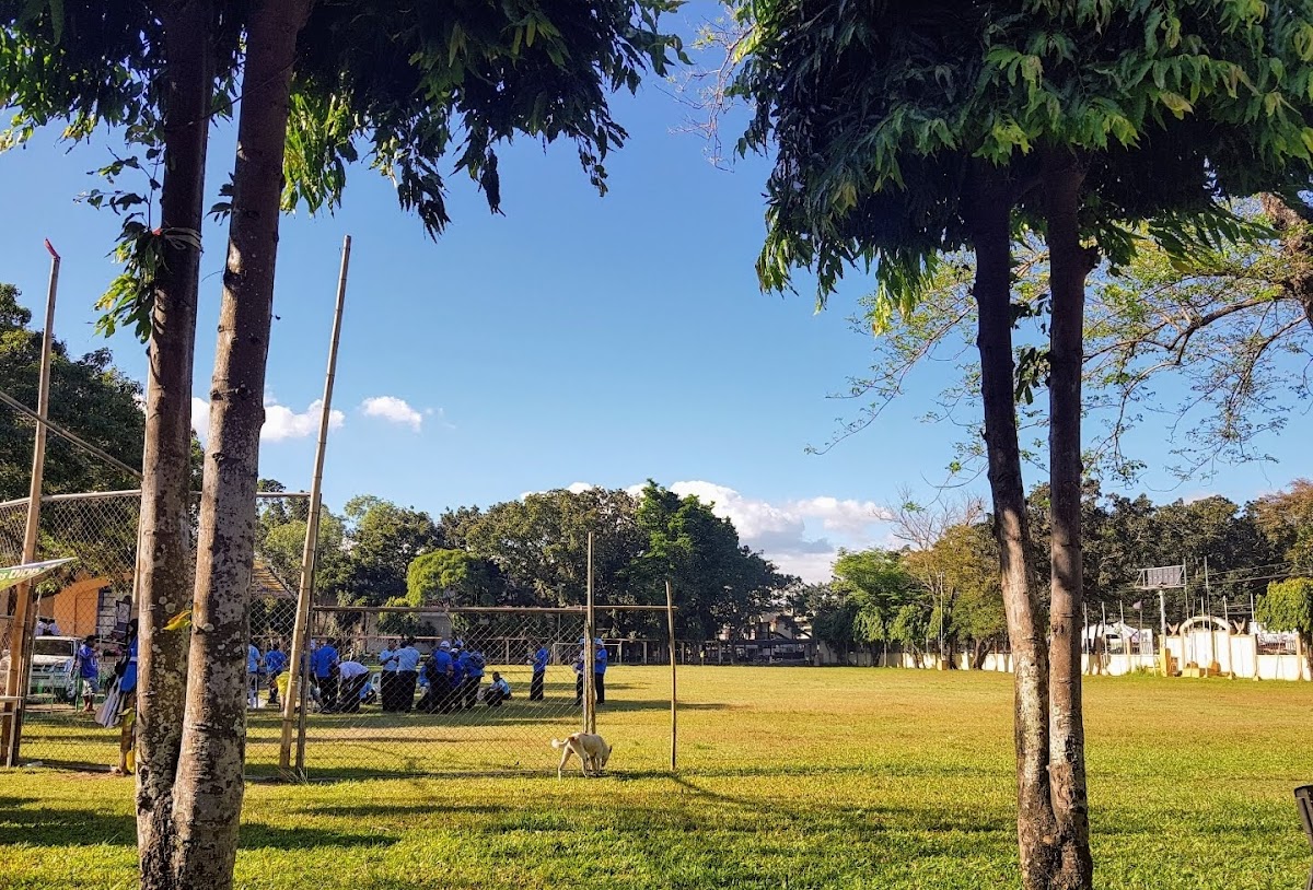 West Visayas State University photo 1