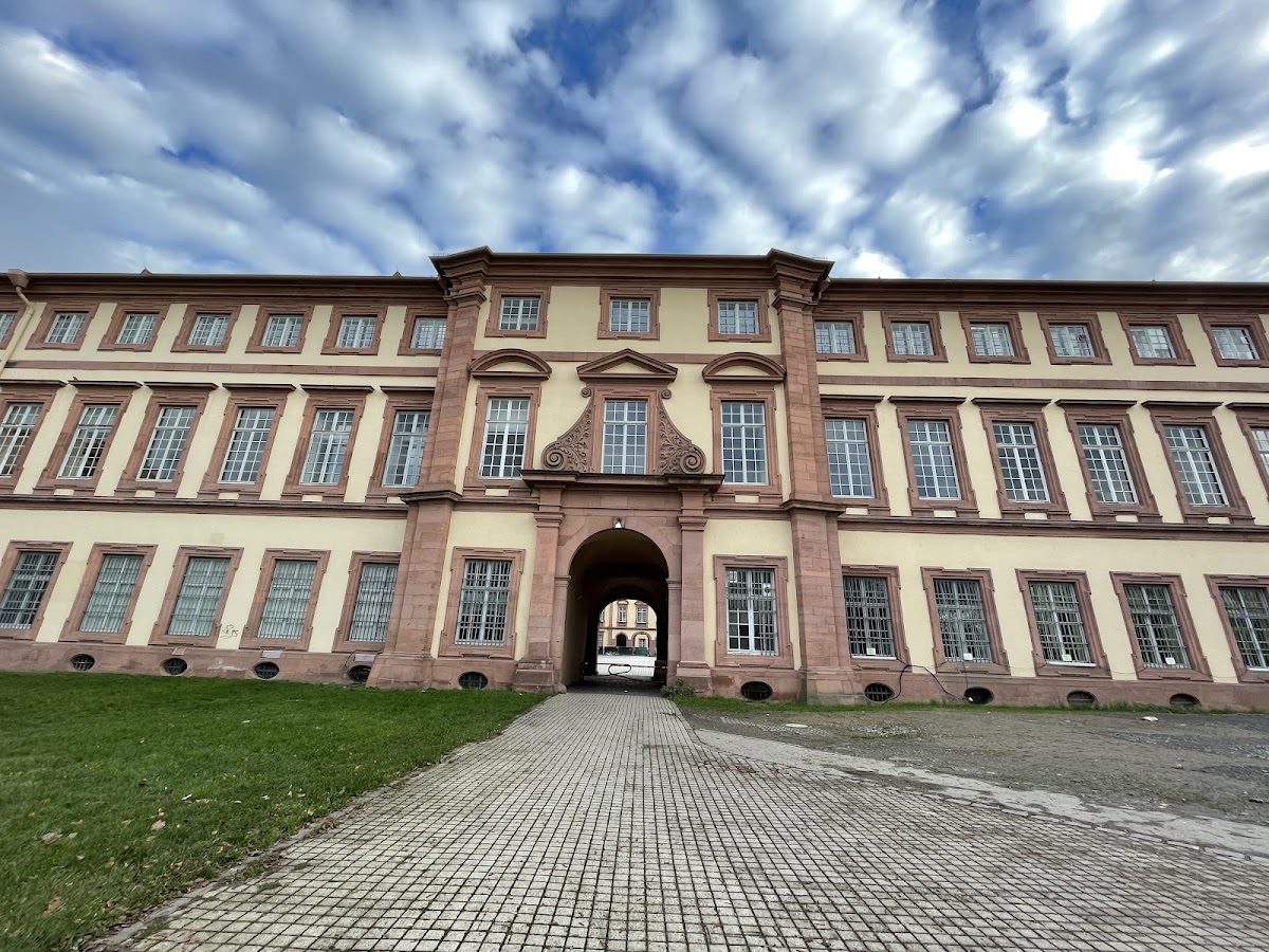 University of Mannheim photo 4