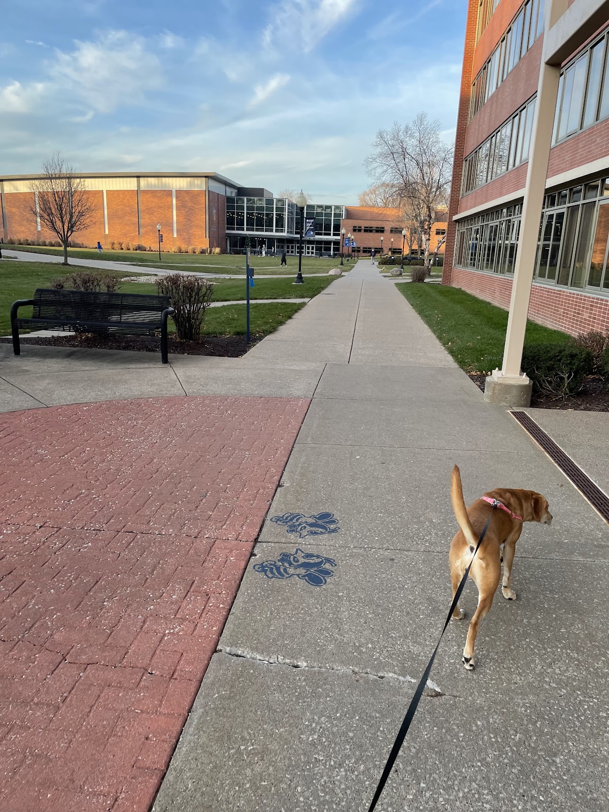 Saint Ambrose University photo 9