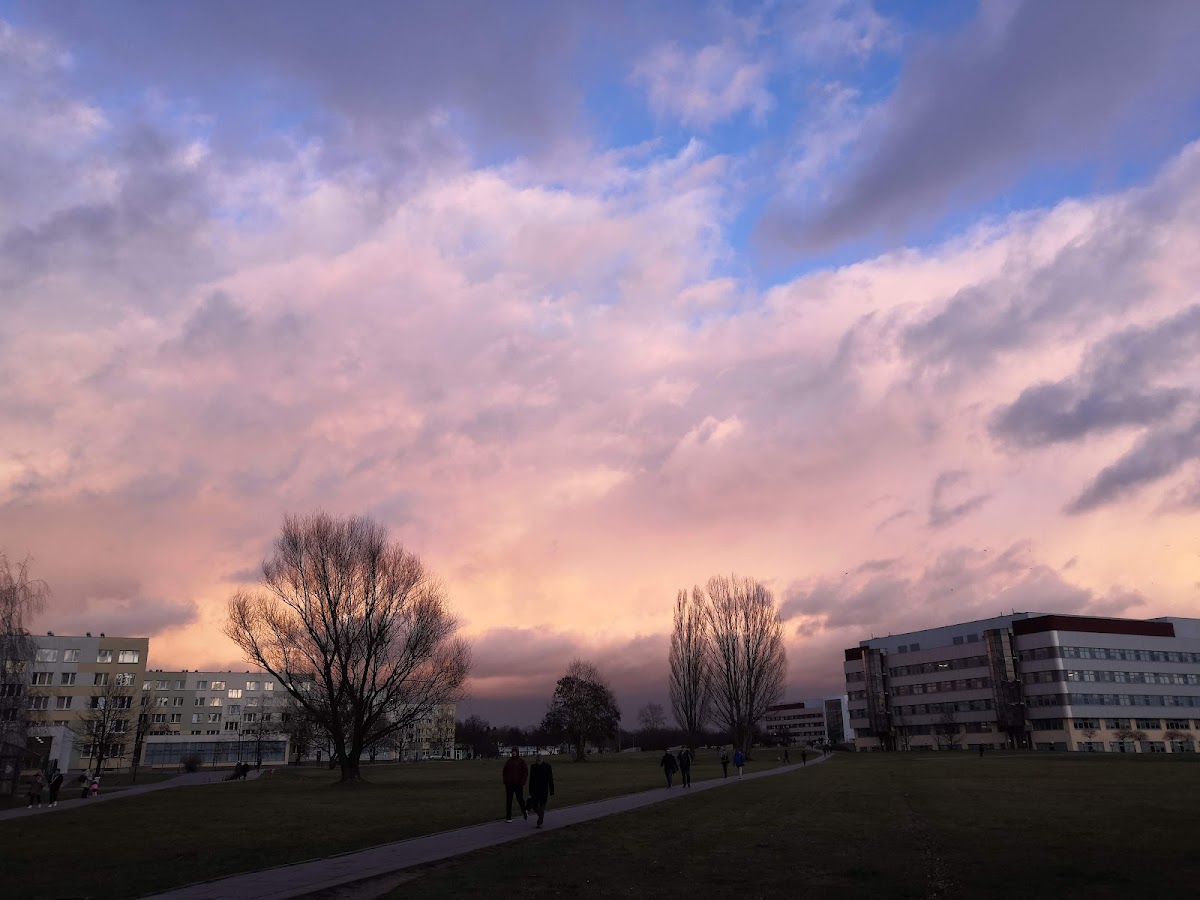 Warsaw University of Life Sciences photo 6