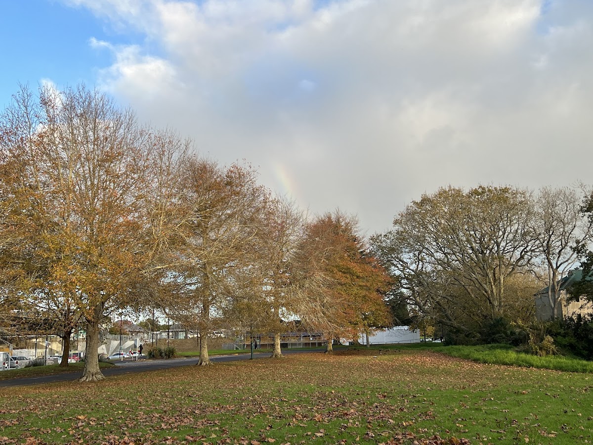 Unitec Institute of Technology photo 2