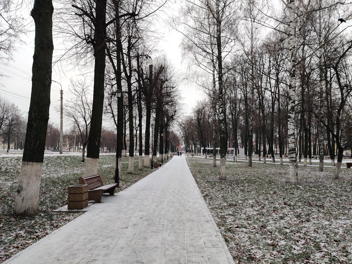 Orel State University photo 8