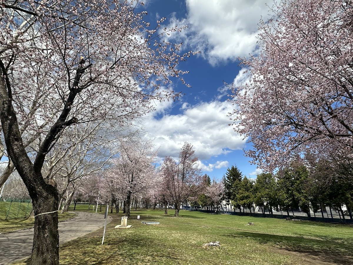 Kitami Institute of Technology photo 4