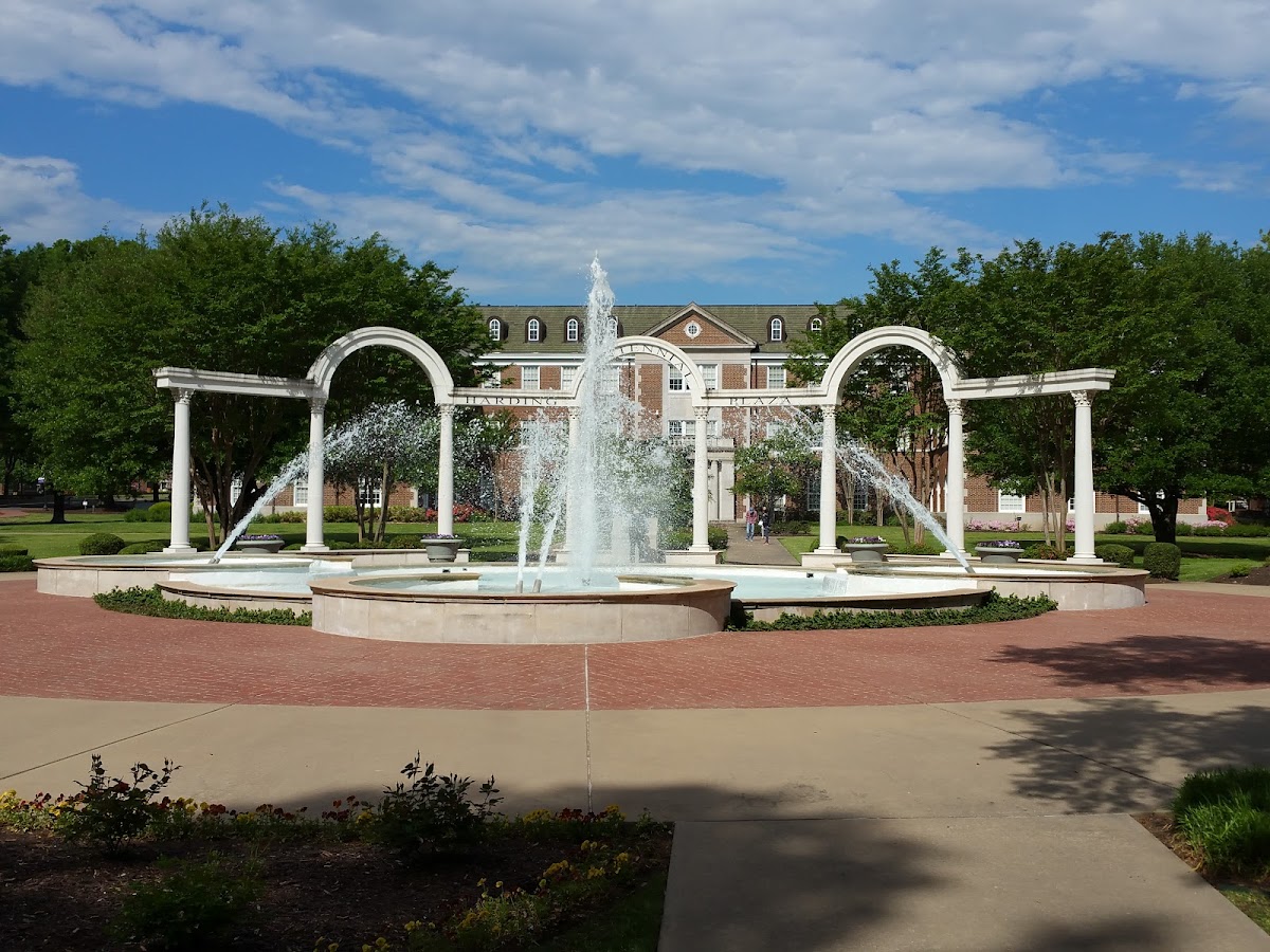 University of Central Arkansas photo 2