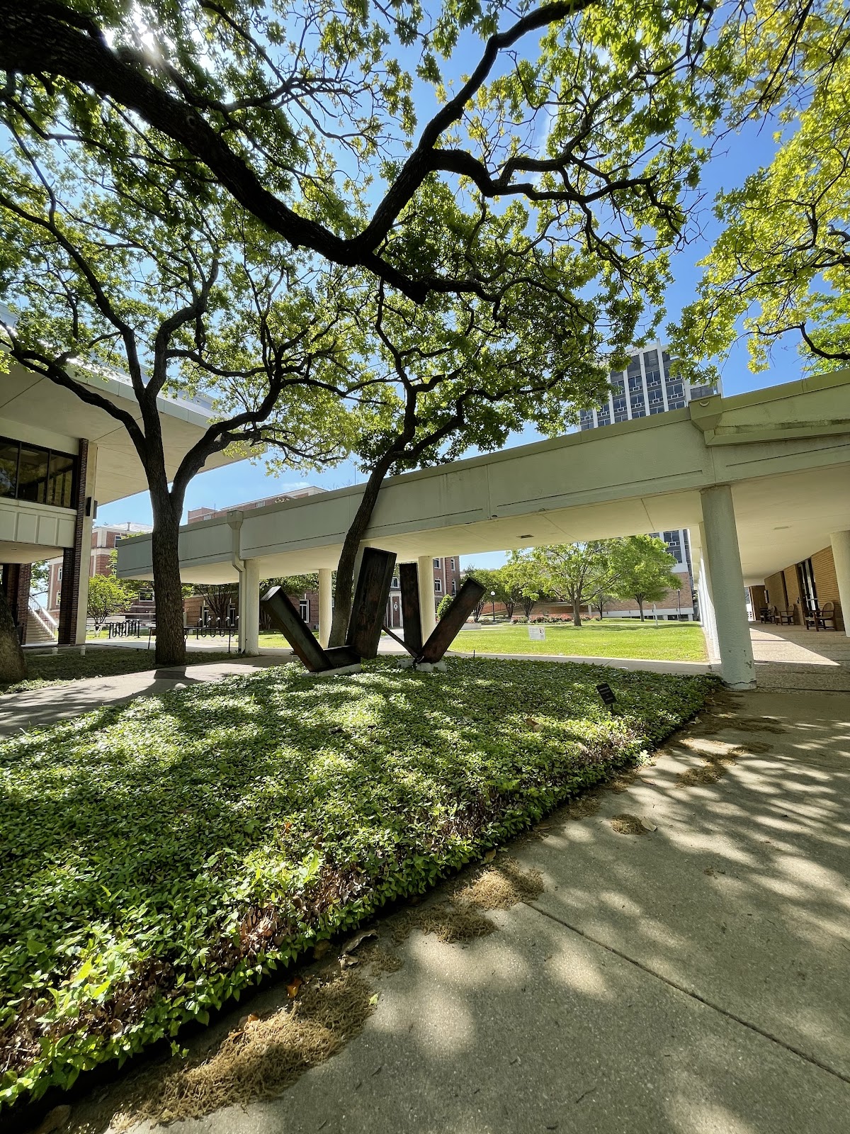 Texas Woman's University photo 7