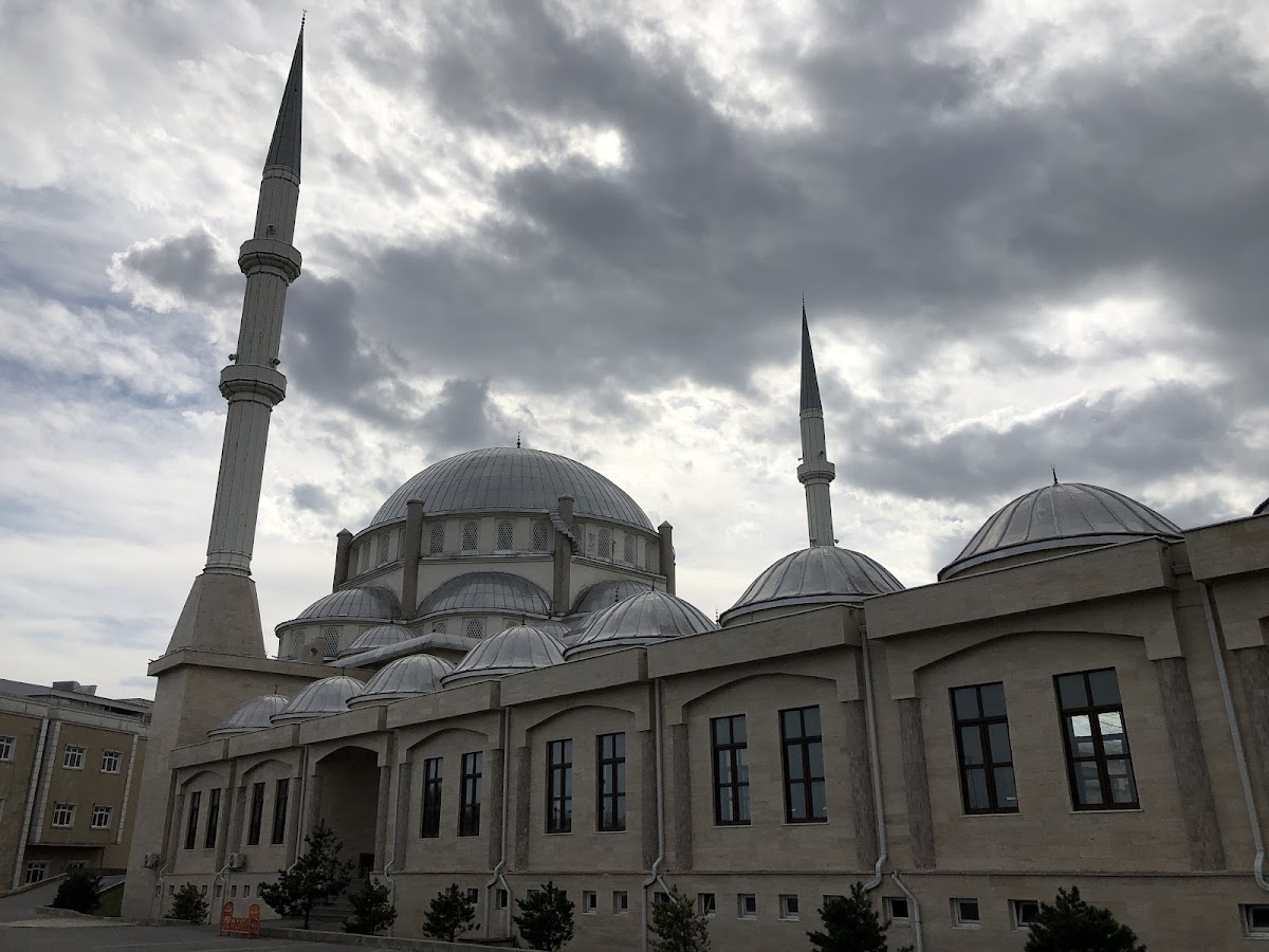 Sakarya University photo 7