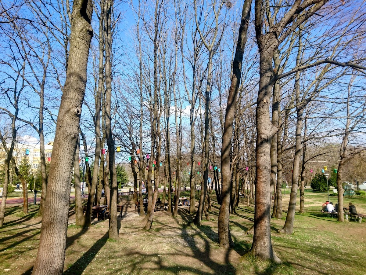 Sakarya University photo 8